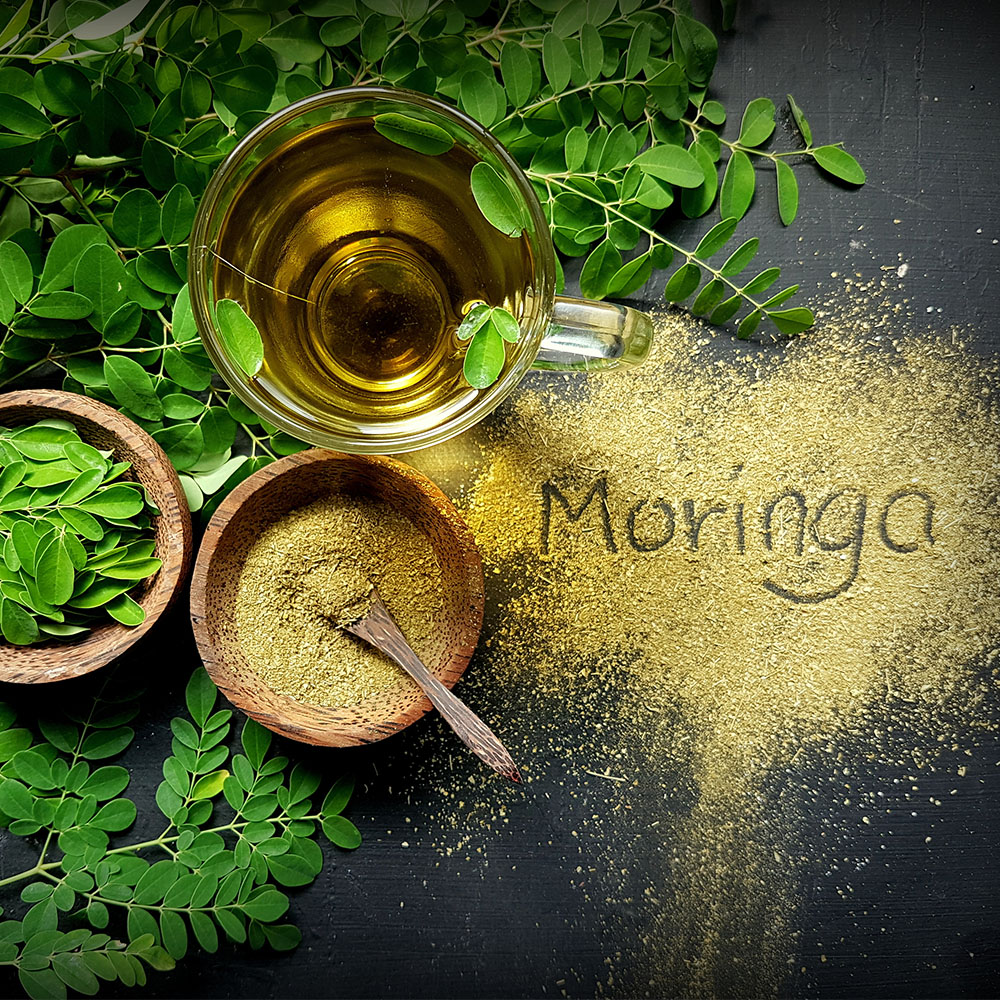 moringa 1000x1000